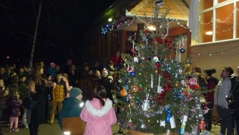 ZAJEDNO OKITILI JELKU: U Belom blatu se okupili Srbi, Mađari, Slovaci, Rumuni...  (FOTO)