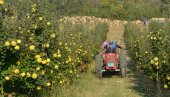 NARADENE GODINE: Poppis poljoprivrednih gazdinstva u Crnoj Gori