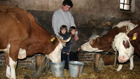 РЕКОРДНИ ПОДСТИЦАЈИ У СТОЧАРСТВУ: Нове врсте субвенција и увећана подршка домаћим расама