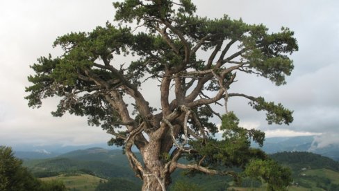 SELO U SRBIJI KOJE ČUVA TAJNU: Mesto opipljivih legendi