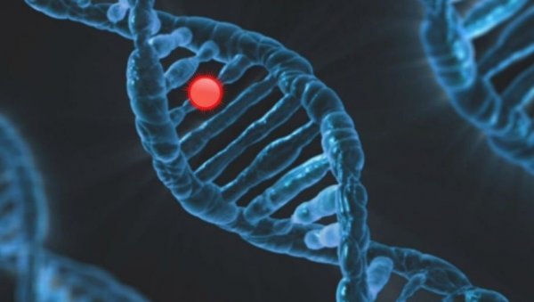 ИСТРАЖИВАЊЕ ОТКРИВА: Са чиме је повезан генетски отпад у људском геному