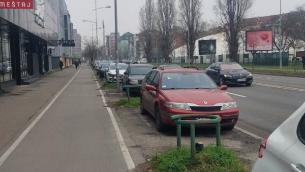 НОВОСАДСКО ГРАДСКО ЗЕЛЕНИЛО ПОДНЕЋЕ КРИВИЧНУ ПРИЈАВУ: Непознати посекли осам стабала јасена код Сајма