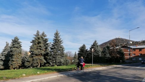 ОБНОВЉЕН ТИТОВ ГАЈ У ВРШЦУ: Некада имао 88 стабала, колико и председник Југославије када је умро (ФОТО)