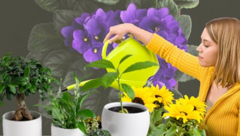 БИЗНИС СА ТЕРАСЕ ОСВОЈИО СРБЕ: Доноси велику зараду, а улагања готово да нема