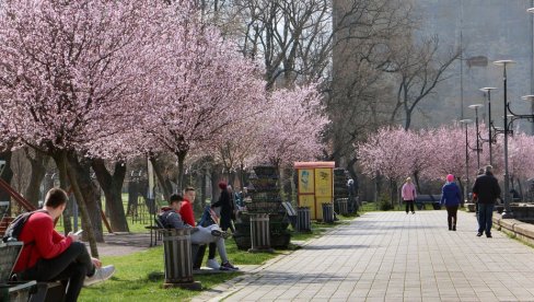 PRVI MAJ OKUPAN SUNCEM, EVO GDE ĆE BITI KIŠE: Vremenska prognoza za četvrtak, 1. maj