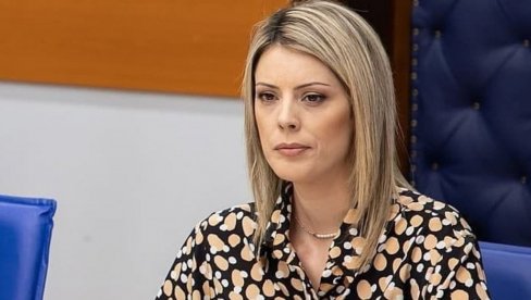 UKRADENA DOKUMENTA VRAĆENA U MINISTARSTVO Inspekcijski registar netaknut