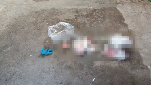 NIKOLU SU TUKLI PALICAMA U GLAVU: Poznato stanje mladića povređenog u tuči navijača na Novom Beogradu NIKOLU SU TUKLI PALICAMA U GLAVU: Poznato stanje mladića povređenog u tuči navijača na Novom Beogradu