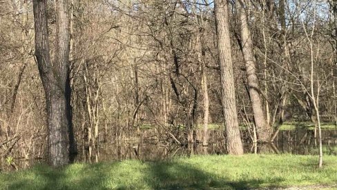 NA UGLU BULEVARA PATRIJARHA PAVLA I TOPČIDERSKE POJAVILA SE VELIKA KOLIČINA VODE: Kvarovi poplavili okretnicu NA UGLU BULEVARA PATRIJARHA PAVLA I TOPČIDERSKE POJAVILA SE VELIKA KOLIČINA VODE: Kvarovi poplavili okretnicu