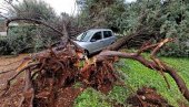 VODA UŠLA U BROJNE OBJEKTE: Jako nevreme u Rovinju i Poreču čupalo stabla (FOTO)