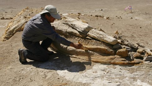 ARHEOLOŠLO OTKRIĆE: Tokom radova na gasovodu pronađeno drevno dečje groblje