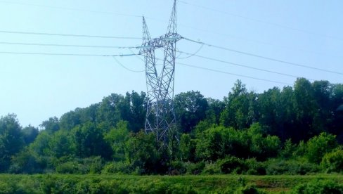 ČIŠĆENJEM RASTINJA DO POUZDANOSTI SNABDEVANJA: Isključenje struje u vlasotinačkim selima