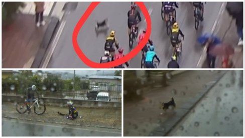 ŠTA GA SVE NIJE SNAŠLO NA ĐIRO D ITALIJA! Svetskog šampiona napao pas, ali to mu uopšte nije bio jedini problem u 5. etapi (VIDEO)