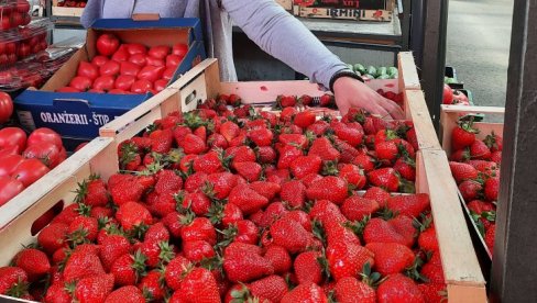 SLATKE KAO MED, SKUPE KAO ZLATO: Na pijacama se tezge crvene od domaćih jagoda, a cene - nebu pod oblake