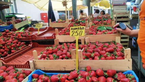 ДОМАЋЕ ЈАГОДЕ СТИГЛЕ НА ПИЈАЦЕ: Ево колико коштају и зашто им цена не пада ДОМАЋЕ ЈАГОДЕ СТИГЛЕ НА ПИЈАЦЕ: Ево колико коштају и зашто им цена не пада
