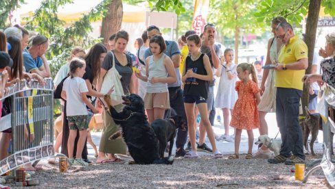 FESTIVAL PASA SVIH RASA: Manifestacija na Kalemegdanskoj tvrđavi