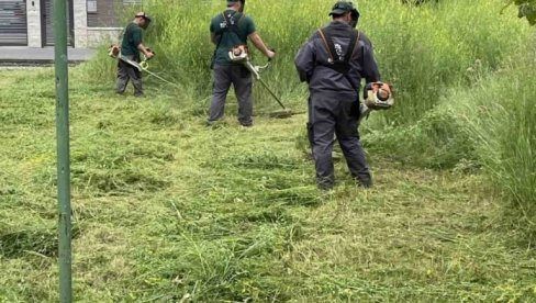 UREĐENJE ZELENIH POVRŠINA: Eko patroal Zemuna nastavlja sa akcijama