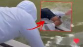 УЗНЕМИРУЈУЋИ СНИМАК: Ајкула зграбила човека из чамца па га повукла са собом у воду (ВИДЕО)