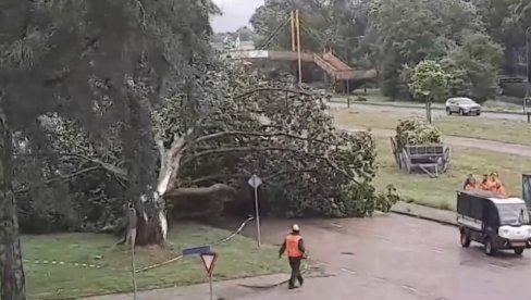 CRVENI KOD AKTIVIRAN NA TERITORIJI CELE HOLANDIJE: Oluja napravila haos, vetar nosio sve pred sobom, ima i mrtvih (VIDEO)