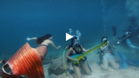 ЕКОЛОШКА РАПСОДИЈА: Рониоци уживају у подводном концерту на Флориди
