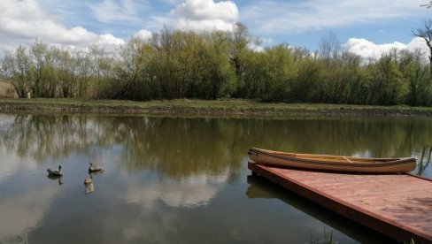 ЦАРСКА БАРА ВИШЕ НЕЋЕ ГОРЕТИ: Четири милиона динара за заштиту од пожара једног од најлепших резервата природе у Војводини (ФОТО/ВИДЕО)