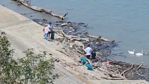 ZA SVAKU POHVALU: Po najvećoj vrućini otišli na beogradsku plažu, ali ne da se osveže (VIDEO)