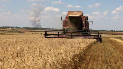 ЕВРОПСКА КОМИСИЈА ПРЕДЛОЖИЛА: Увођење царина на житарице и уљарице из Русије и Белорусије