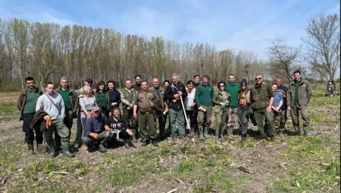 POKRAJINI NEDOSTAJE 100 MILIONA SADNICA: Vojvodina je decenijama najslabije pošumljeni deo Srbije i Evrope