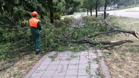 PALO DRVO NA DEVOJČICU: U Novom Sadu u nevremenu povređene dve osobe