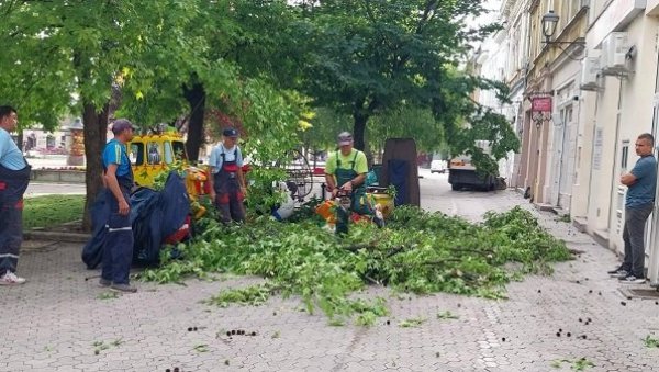 ПУКЛА СЛЕЗИНА НАКОН ПАДА ЗБОГ ОЛУЈЕ: Невреме у Вршцу - Повређени грађанин на ВМА, за сат оборено више стабала