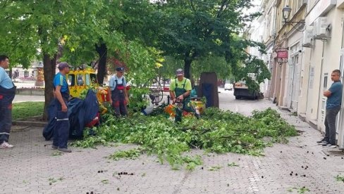 PUKLA SLEZINA NAKON PADA ZBOG OLUJE: Nevreme u Vršcu - Povređeni građanin na VMA, za sat oboreno više stabala