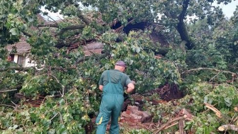 BREG BEZ VODE ZBOG UDARA GROMA: Nevreme u Vršcu ponovo lomilo granje, čupalo drveće…