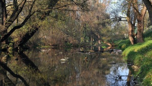 PRIMETILI DA GA NEMA, TELO NAŠLI NA DNU LITICE: Detalji pogibije muškarca na Gradcu