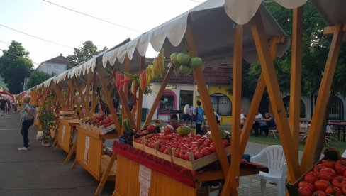 PRESTONICA PARADAJZA: Tradicionalna manifestacija u Lebane privukla više od 30.000  gostiju i 54 izlagača