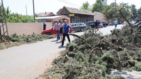 GRADONAČELNIK NOVOG SADA O DELOVANJU NAKON STRAVIČNOG NEVREMENA: Prioritet nam je bio da uklonimo opasnost po građane