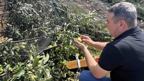 DO KORENA JE  SVE UBIJENO! Posle dva naleta oluje njive širom Srbije izgledaju sablasno (FOTO)