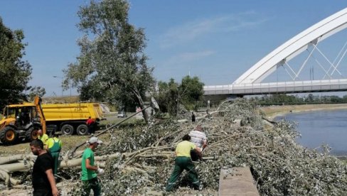 POLOMLJENO DRVEĆE I GRANJE ODNELI SA 147 LOKACIJA:  Zaposleni Gradskog zelenila u Novom Sadu imaju puno posla zbog nevremena