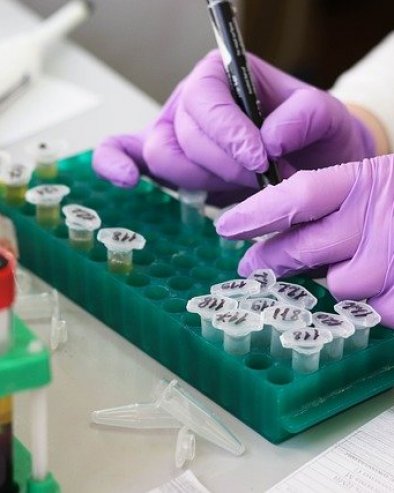 НАУЧНИЦИ СТВОРИЛИ „НЕУРОРОБОТЕ“: Користили су ћелије ове животиње