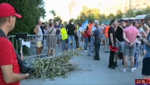 OPOZICIJA PROTESTUJE JER VUČIĆ NIJE USPEO DA SPASI DRVEĆE OD OLUJE: Ovo je nebulozni razlog za protest (VIDEO)