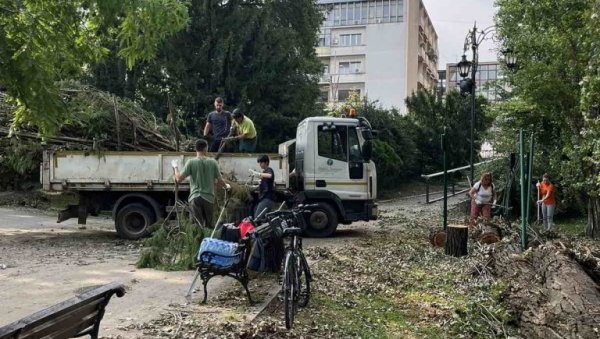 ЗА ДЕВЕТ ДАНА, 2.099 ИНТЕРВЕНЦИЈА : „Градско зеленило“ у Новом Саду отклања последице стравичног невремена