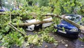 ČOVEKU PALO DRVO NA AUTOMOBIL TOKOM VOŽNJE: Na Novom Beogradu poplavljen kružni tok, saobraćaj stao