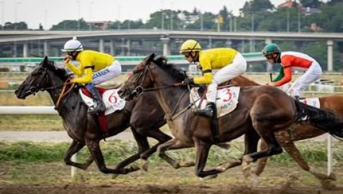 ТРКА ЗА ПЕХАР ПРЕДСЕДНИКА: У недељу на Хиподрому галопски тркачки дан, пријављено више од 80 коња