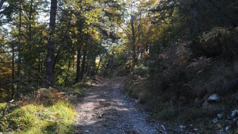 GOČ SE ZATRESAO DVA PUTA: Zemljotresi poviše Vrnjačke Banje (FOTO)