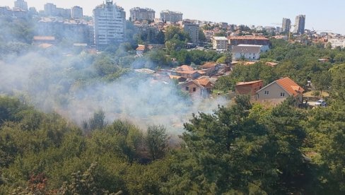 ПОЖАР НА ВОЖДОВЦУ: Жена запалила растиње на ливади, ватра се отргла контроли (ВИДЕО)