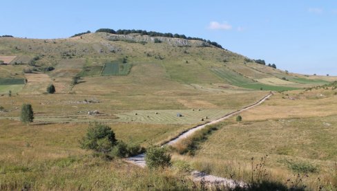 ČEMERNICE, PUSTA MI OSTALA: Vapaji iz sela starovlaške planinezbog puta - Nigde čobanina i stada, napuštena ognjišta zarastaju u bukve (FOTO)