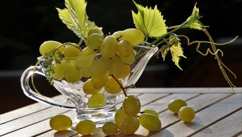 ZA VINO VRHUNSKOG KVALITETA: Ovo su najbolje sorte grožđa za pijuckanje