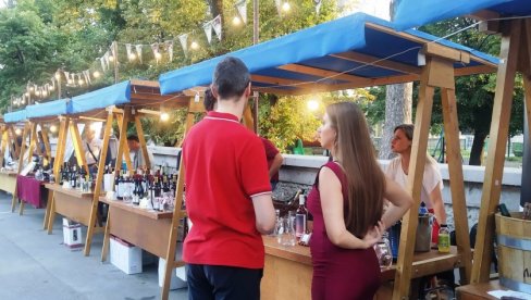 U PARAĆINU  8. „VINSKA PROMENADA“: Besplatna izložba i degustacija