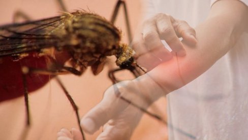 АКЦИЈА ТРЕТМАНА КОМАРАЦА СУТРА НА ТЕРИТОРИЈИ ОБРЕНОВЦА: Први на удару Дудови, Барич, Рвати, Уровци...
