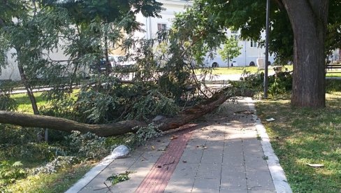 DO 11. SEPTEMBRA: U Požarevcu prijava štete od julskog nevremena