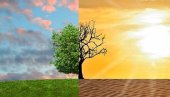METEO: Zemljište kod Atine koje je izgubilo vegetaciju u požaru toplije za 10 stepeni
