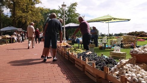 TRADICIONALNA MANIFESTACIJA: Berbanski dani za vikend na Paliću